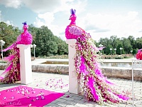 ������ ��������� � 