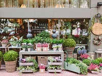 ������ ��������� � 