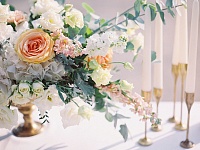 ������ ��������� � 