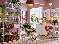 ������ ��������� � 